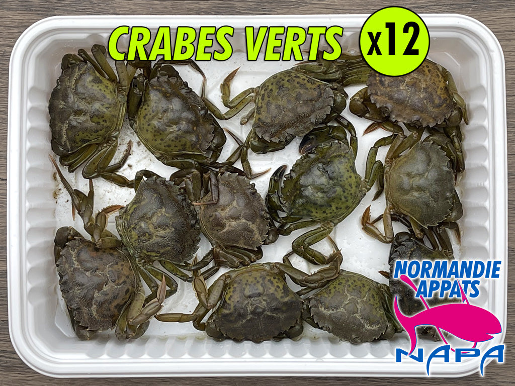 Crabes verts