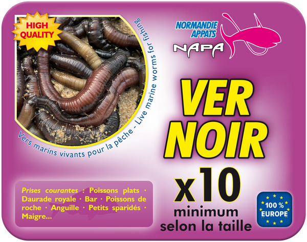 Ver noir (arénicole) 10 vers