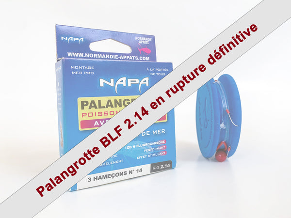 Bas de ligne Palangrotte avec traînard - Poissons de roche