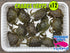 files/2025-crabe-vert-x12-1024x769.jpg