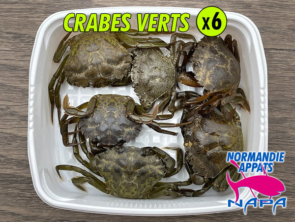 Crabes verts