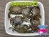 files/2025-crabe-vert-x6-1024x769.jpg